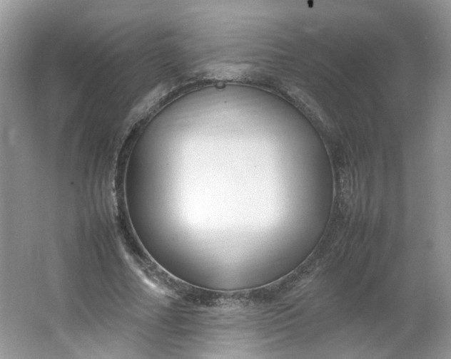 X0000066100682200603241519