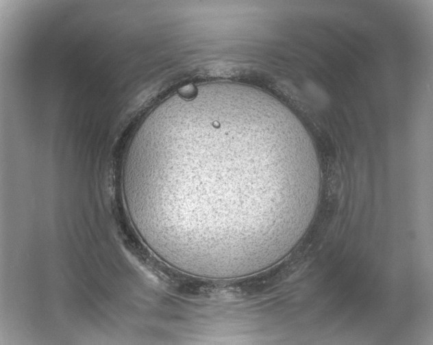 X0000066100683200603241519