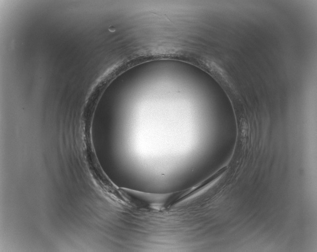 X0000066100684200603241519