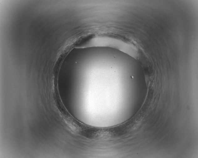 X0000066100685200603241519