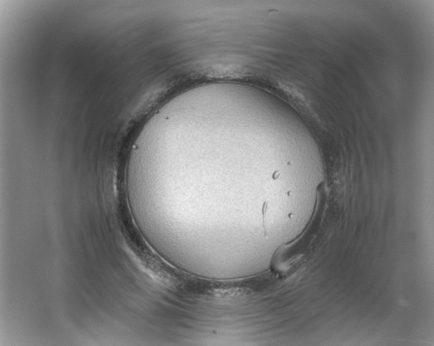 X0000066100686200603241519