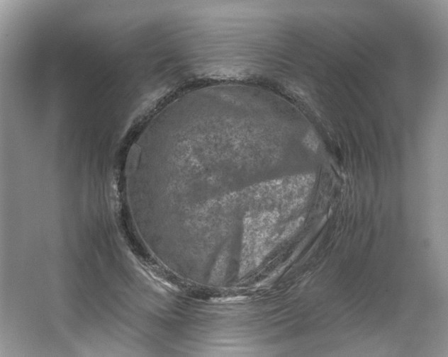 X0000066100688200603241519