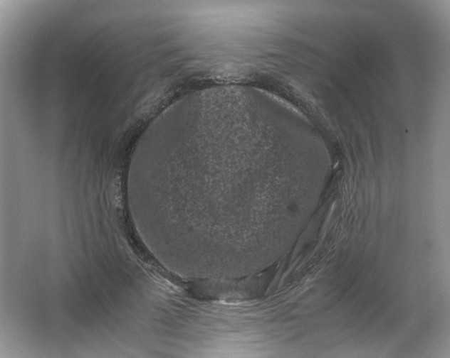 X0000066100689200603241519