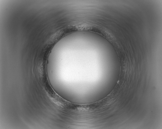 X0000066100690200603241518