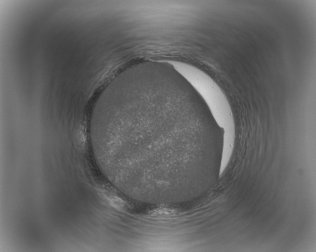 X0000066100691200603241518