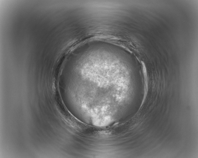 X0000066100692200603241518