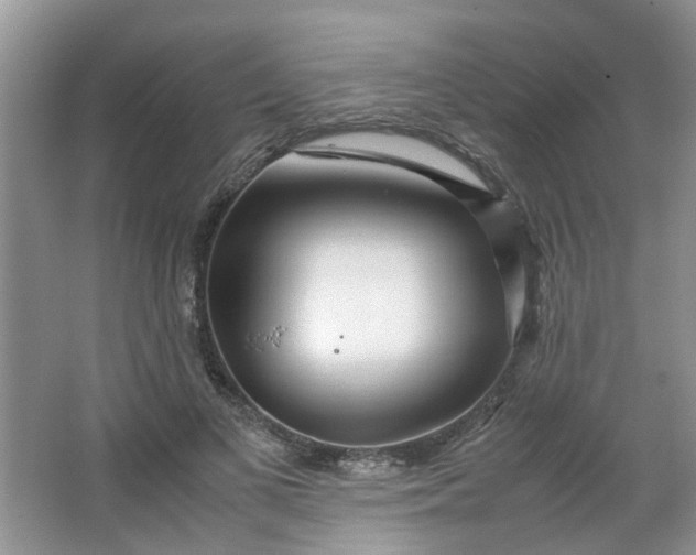 X0000066100693200603241518