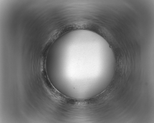 X0000066100694200603241518