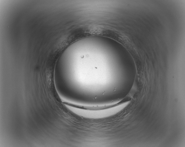 X0000066100697200603241518