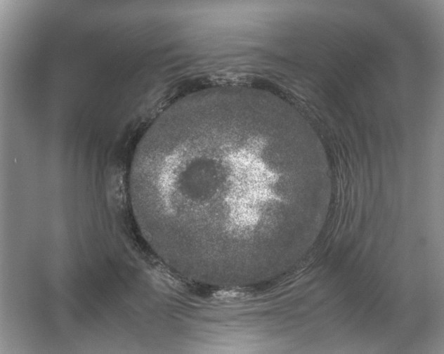 X0000066100699200603241518