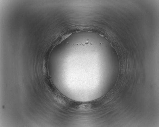 X0000066100700200603241518