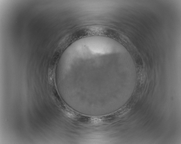 X0000066100701200603241518