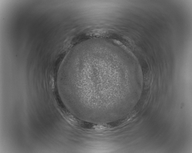 X0000066100703200603241518