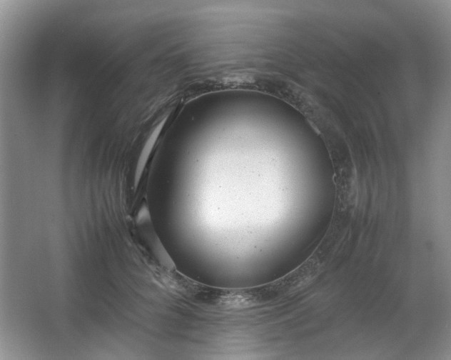 X0000066100704200603241518