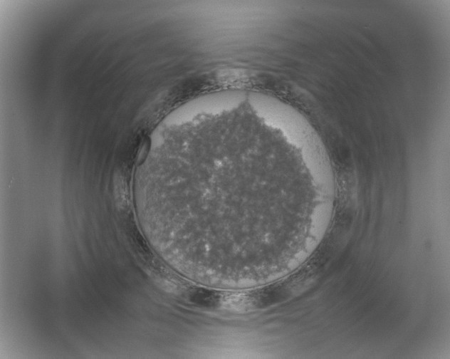 X0000066100705200603241518