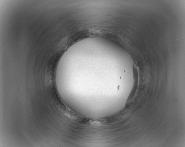 X0000066100706200603241518