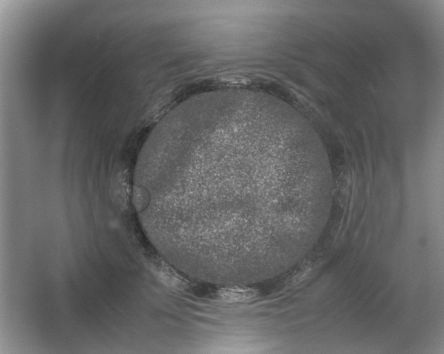 X0000066100707200603241518