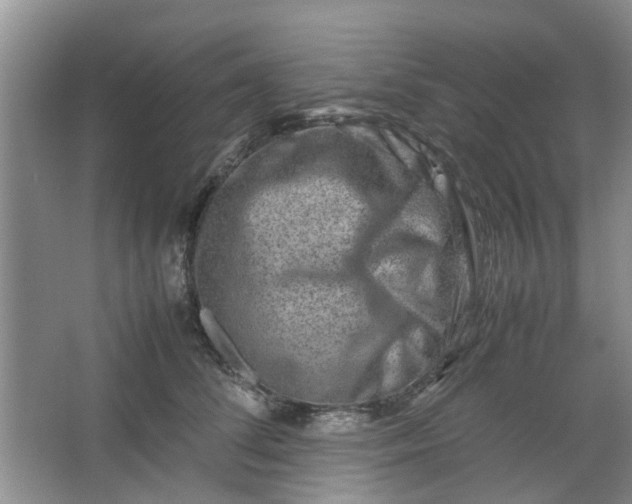 X0000066100708200603241518