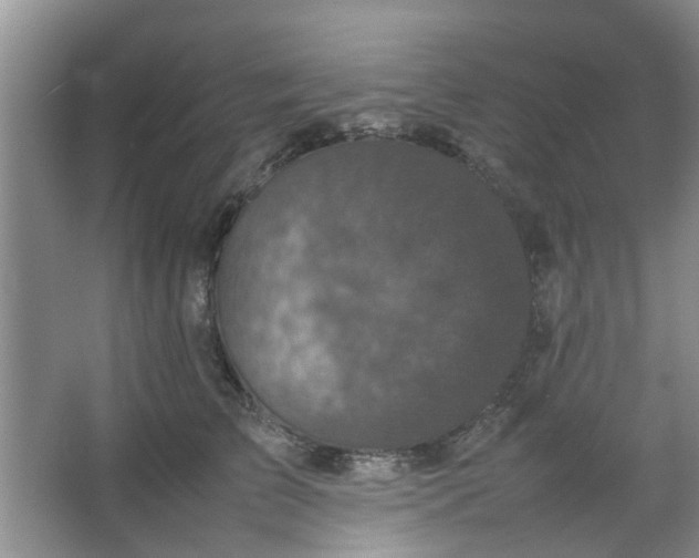 X0000066100709200603241518