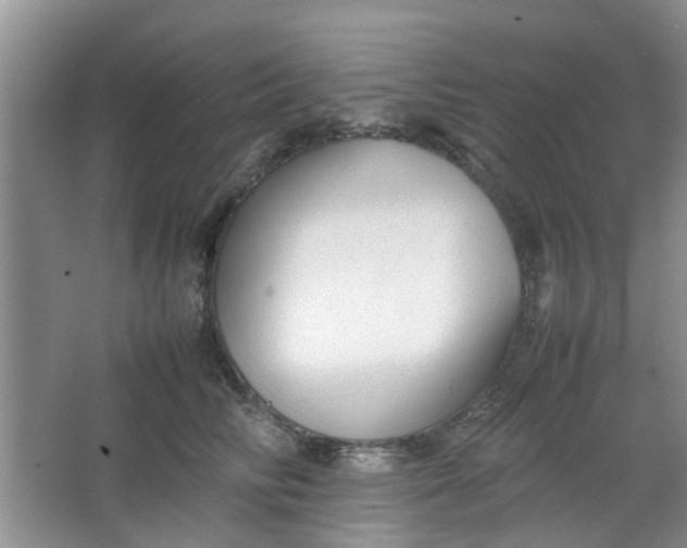 X0000066100710200603241518