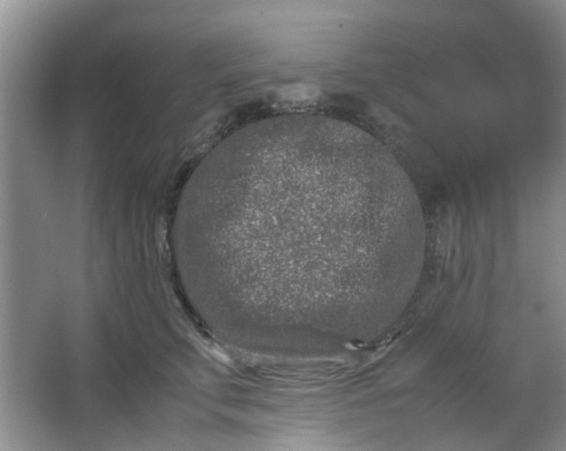 X0000066100711200603241518