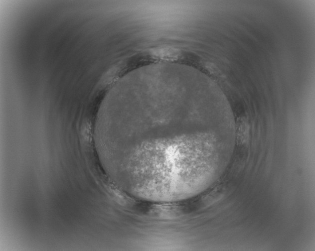 X0000066100713200603241518