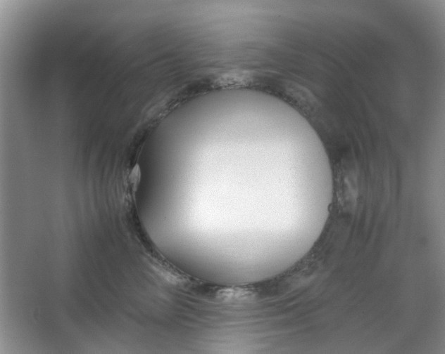 X0000066100714200603241518