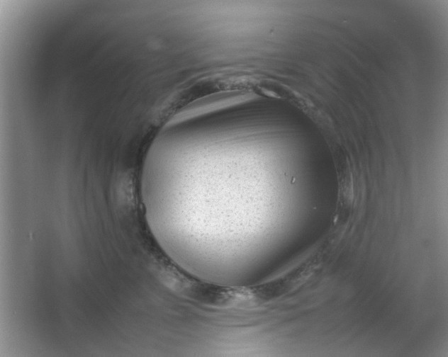 X0000066100715200603241518