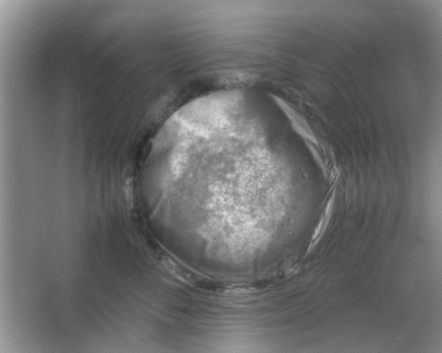 X0000066100716200603241518