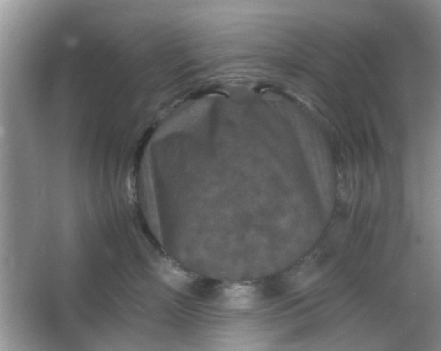 X0000066100718200603241518