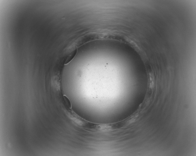 X0000066100719200603241518