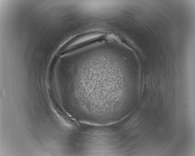 X0000066100722200603241517