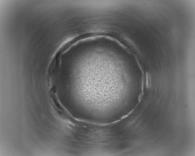 X0000066100723200603241517