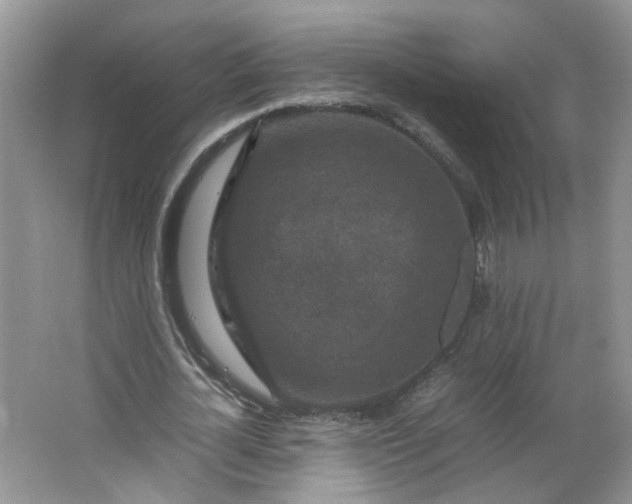 X0000066100724200603241517