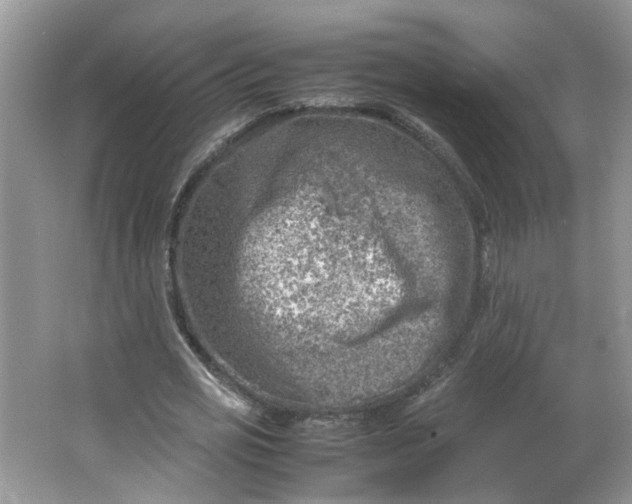 X0000066100725200603241517