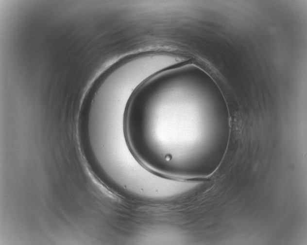 X0000066100726200603241517