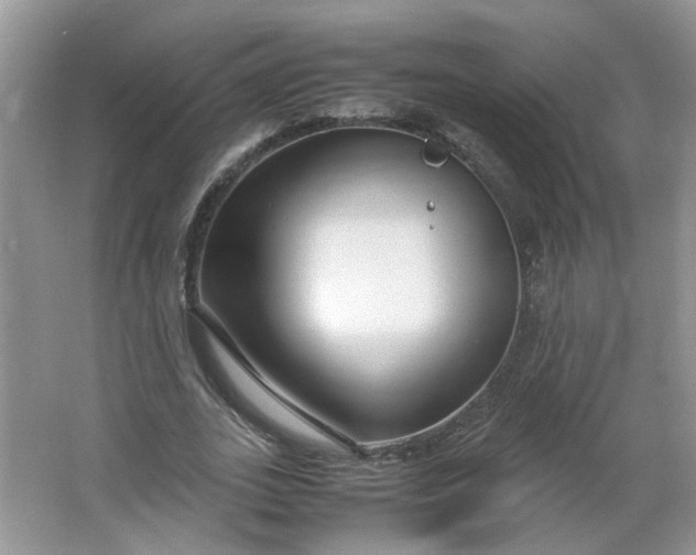 X0000066100727200603241517