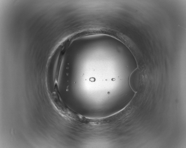 X0000066100728200603241517