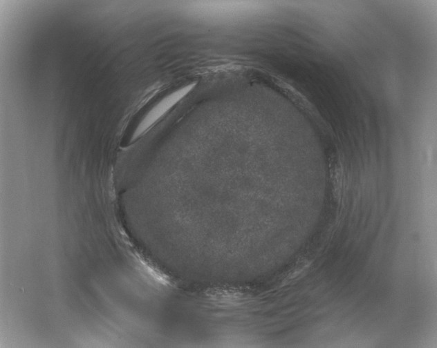 X0000066100729200603241517