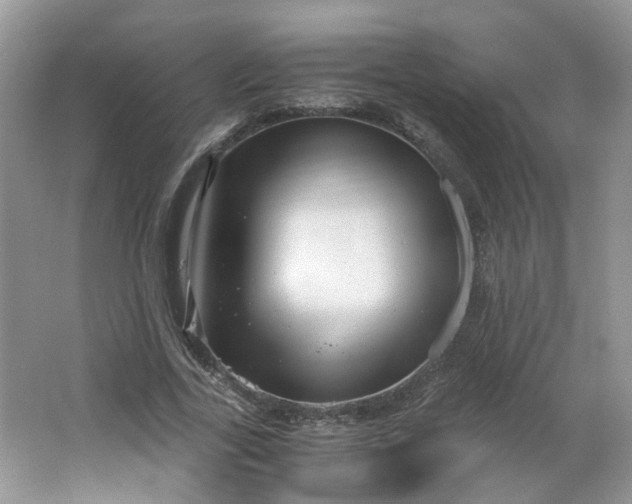 X0000066100731200603241517