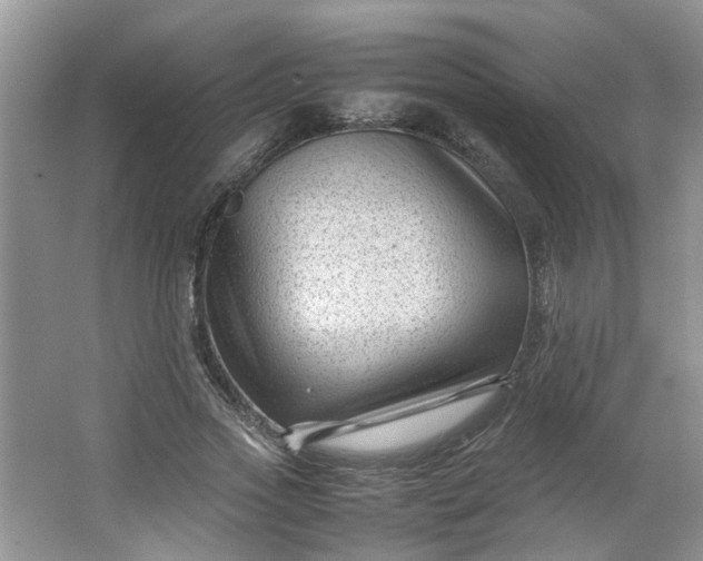 X0000066100733200603241517