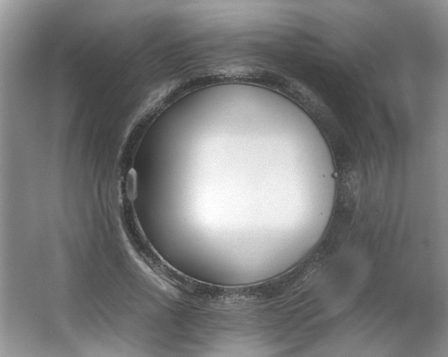 X0000066100734200603241517