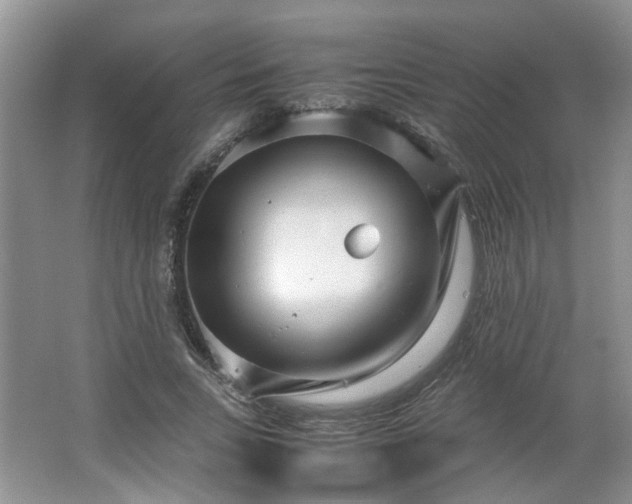 X0000066100735200603241517