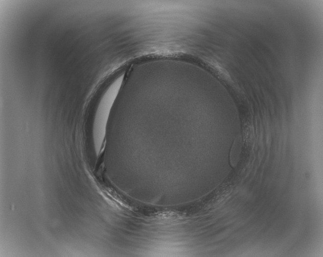 X0000066100736200603241517