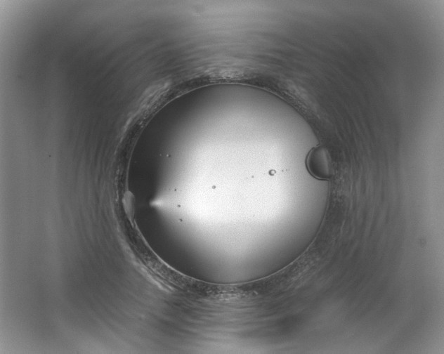 X0000066100738200603241517