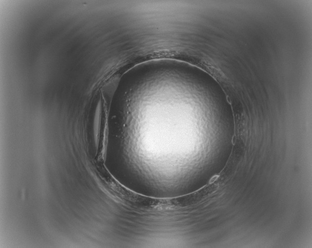 X0000066100742200603241518