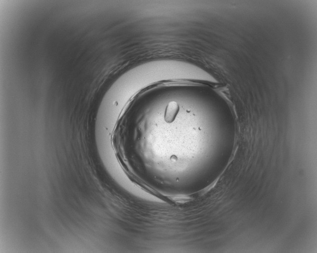 X0000066100743200603241518