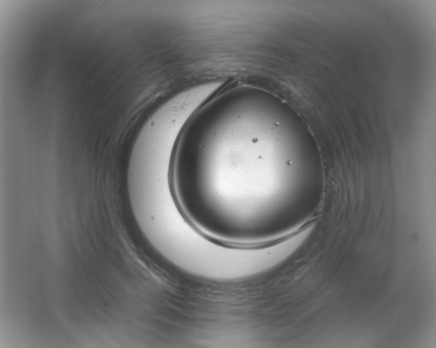 X0000066100744200603241518