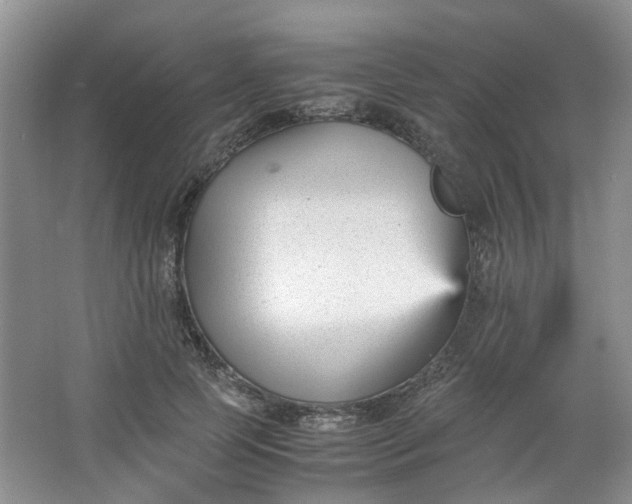 X0000066100745200603241518