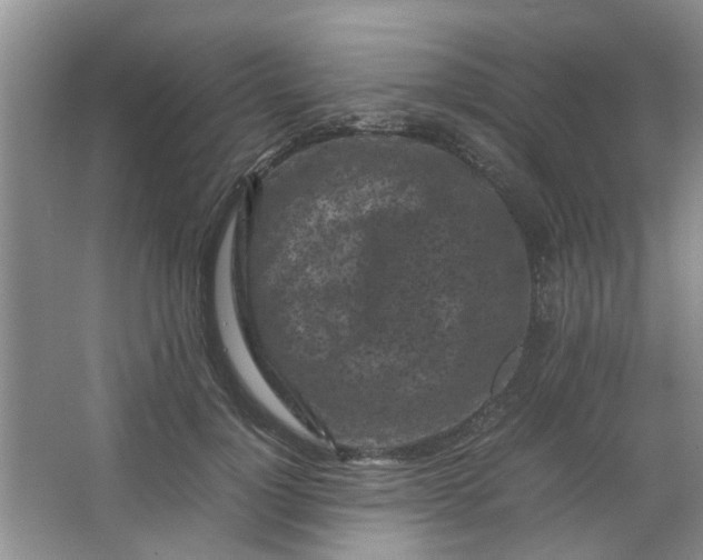 X0000066100748200603241518